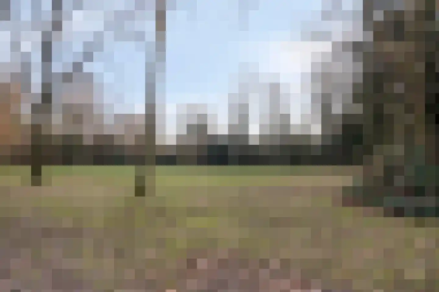 Nieuwpoortstraat 14 Eindhoven thumbnail 60