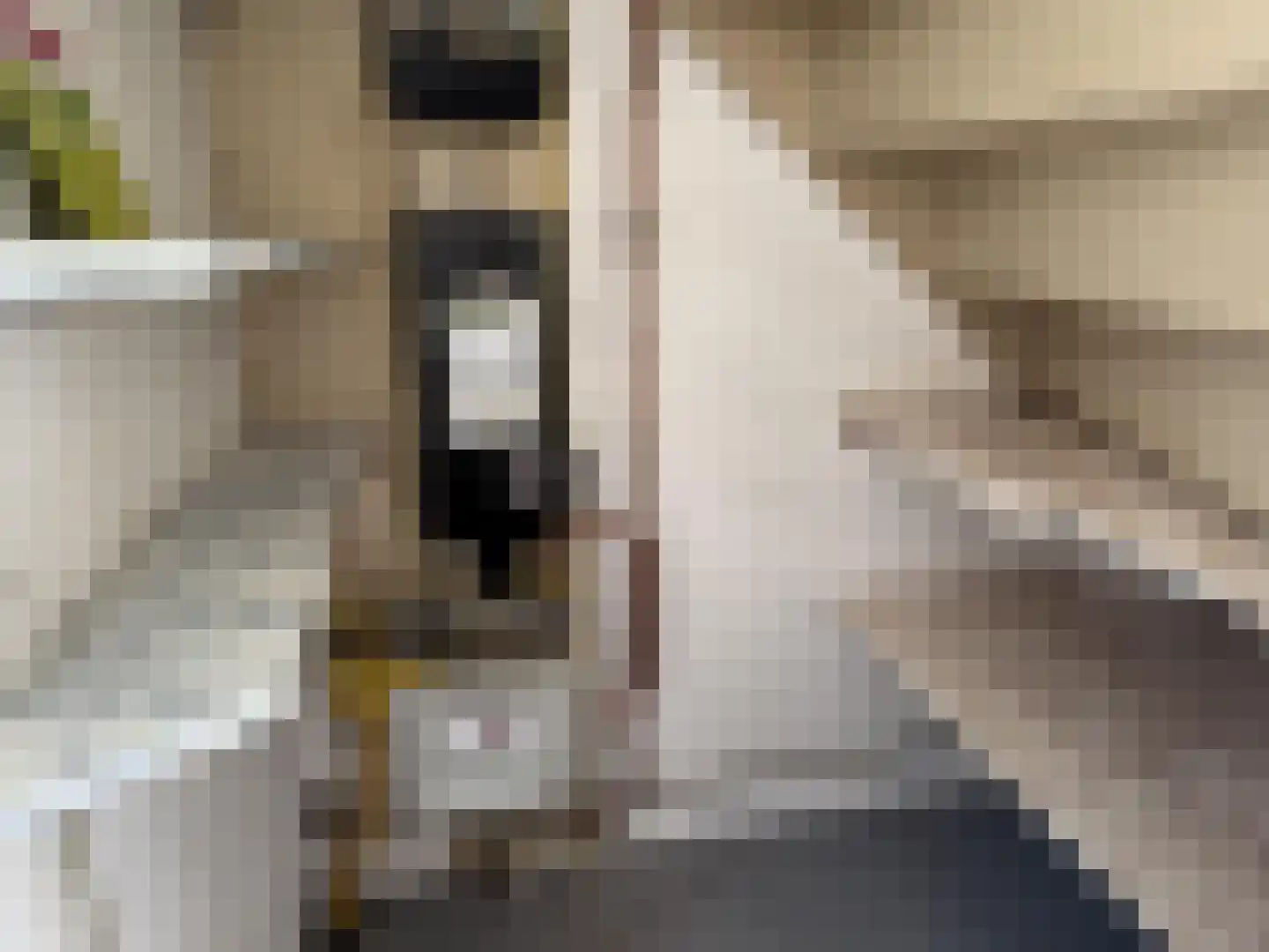 Nieuwpoortstraat 26 Breda thumbnail 10