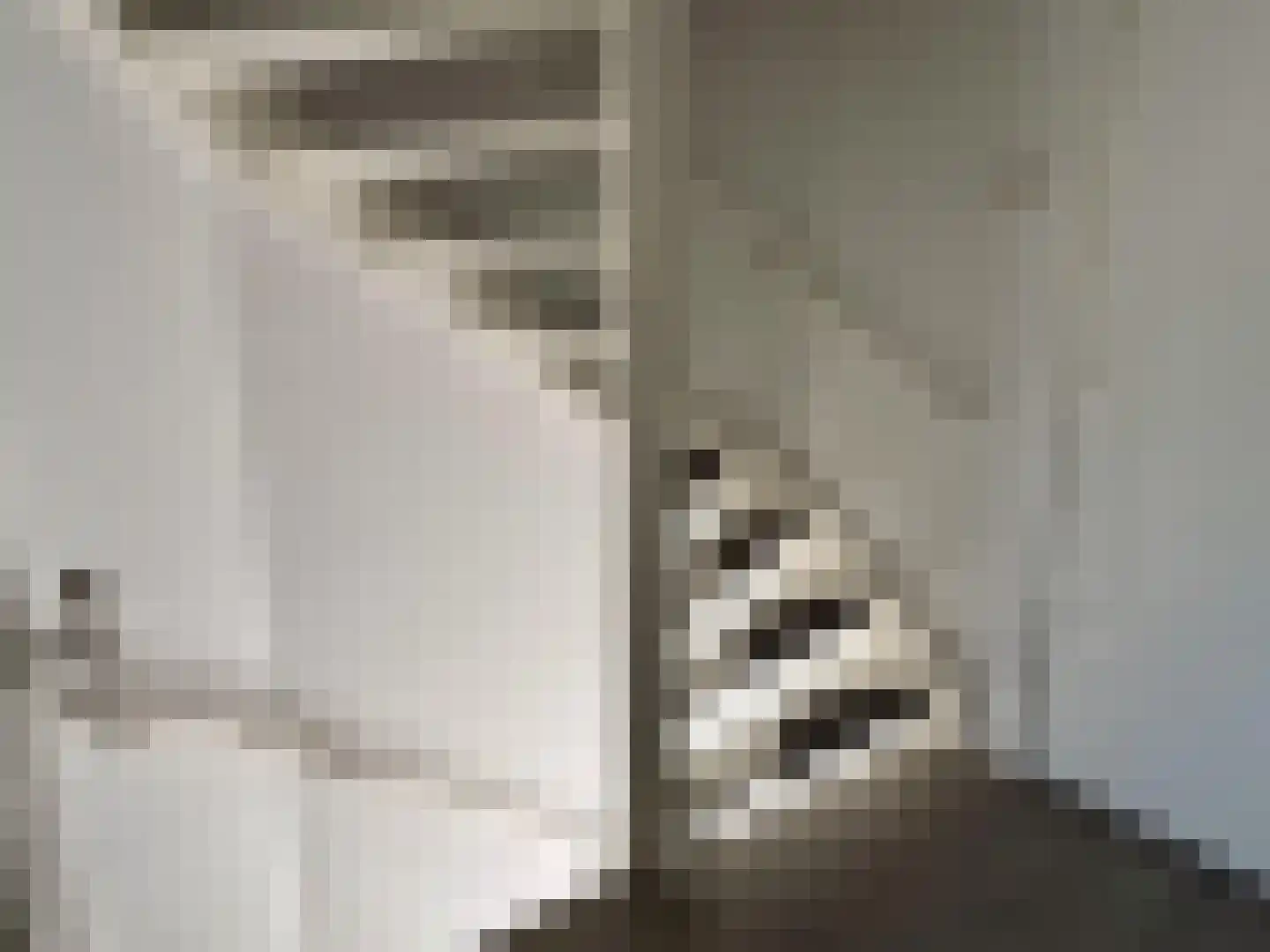 Nieuwpoortstraat 26 Breda thumbnail 11