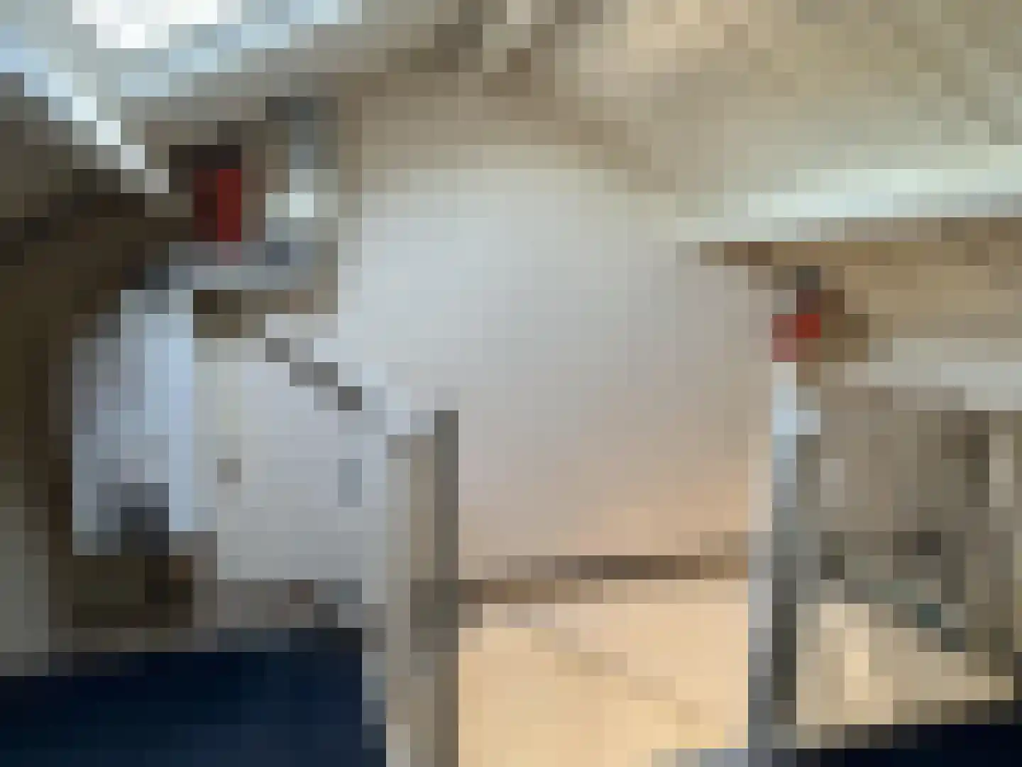 Nieuwpoortstraat 26 Breda thumbnail 21
