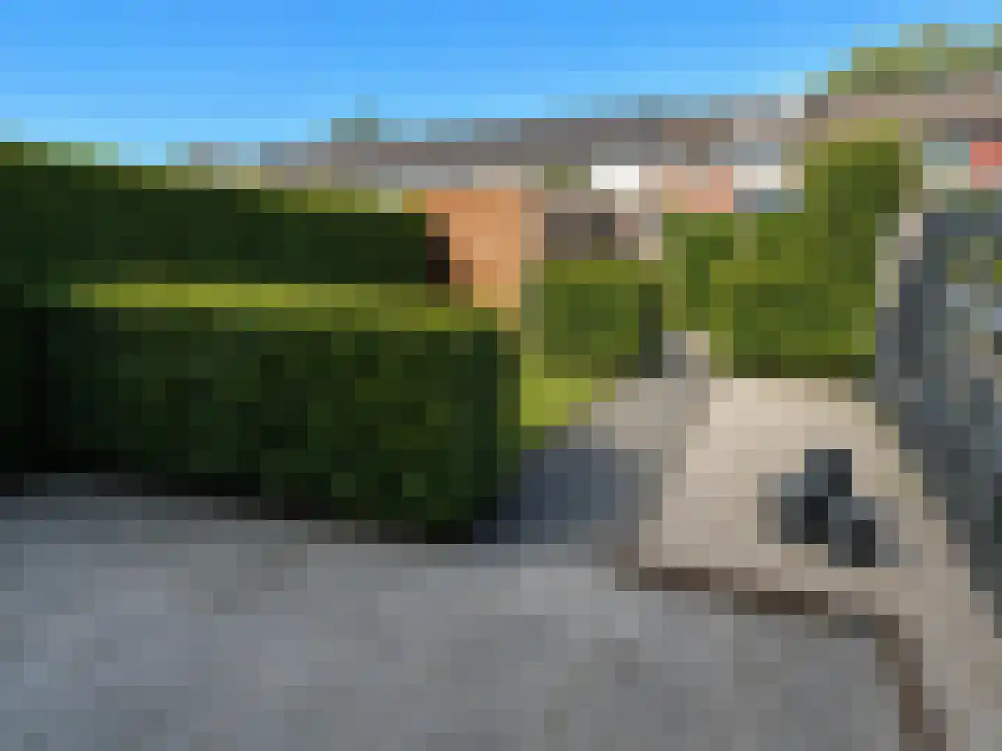 Nieuwpoortstraat 26 Breda thumbnail 24