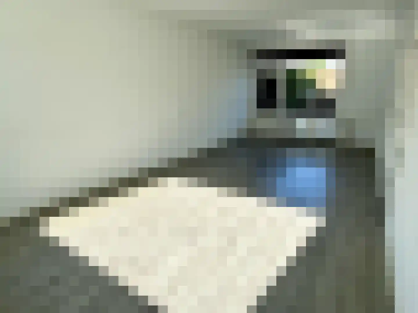 Nieuwpoortstraat 26 Breda thumbnail 6