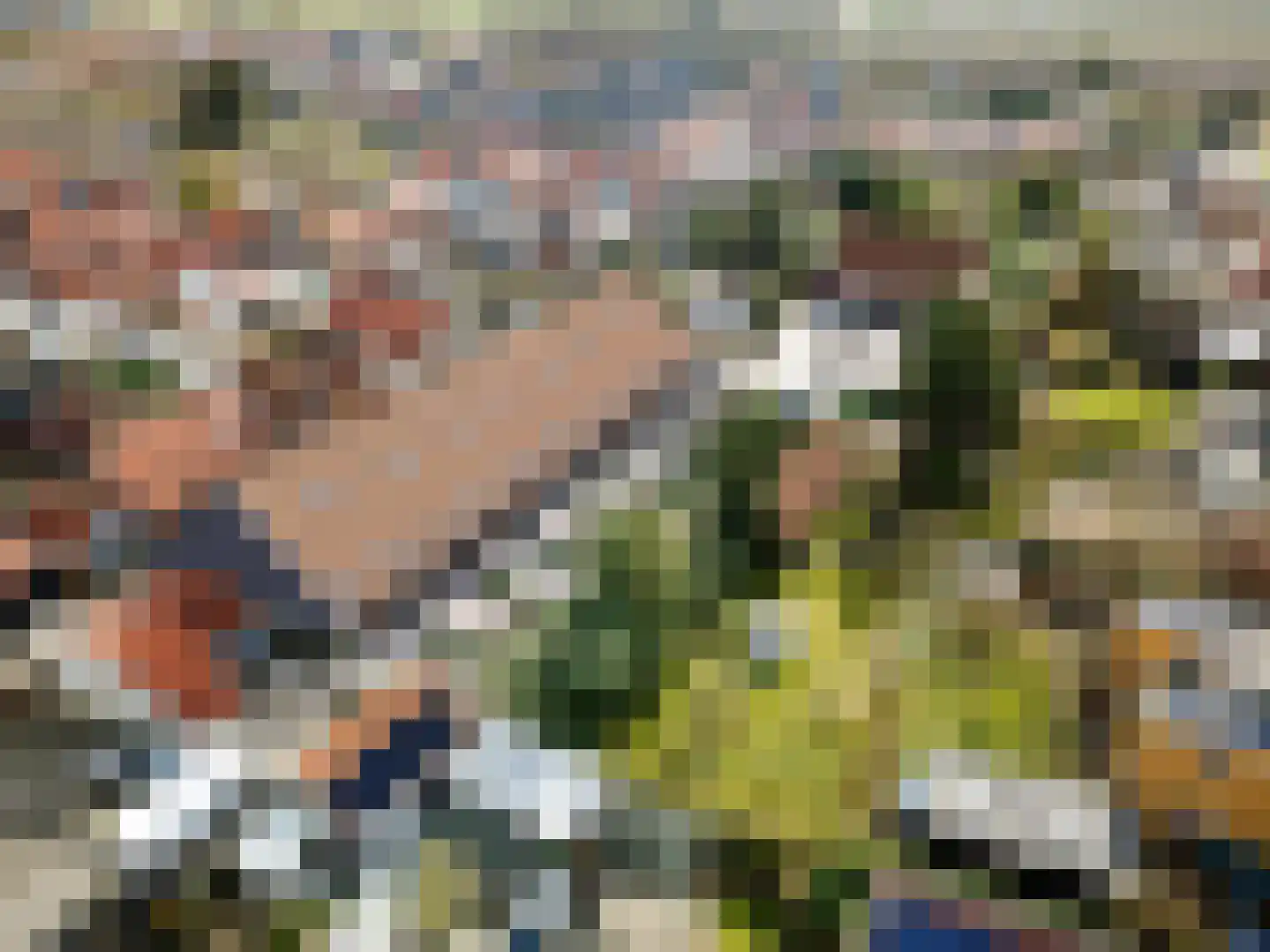 Nieuwpoortstraat 8 Brouwershaven thumbnail 5