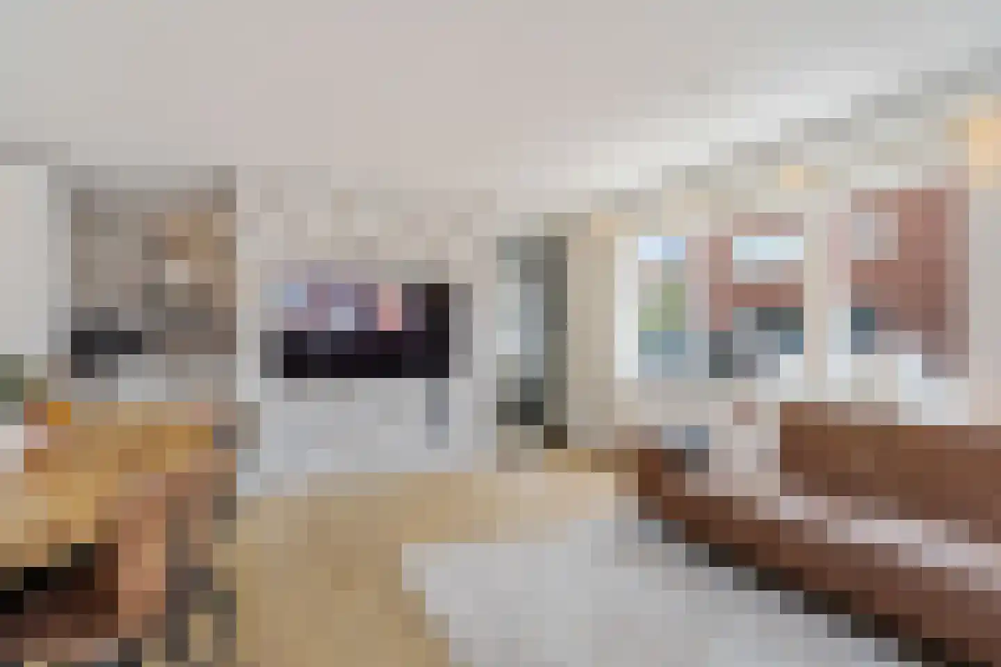 Nieuwpoortstraat 8 Zoetermeer thumbnail 14