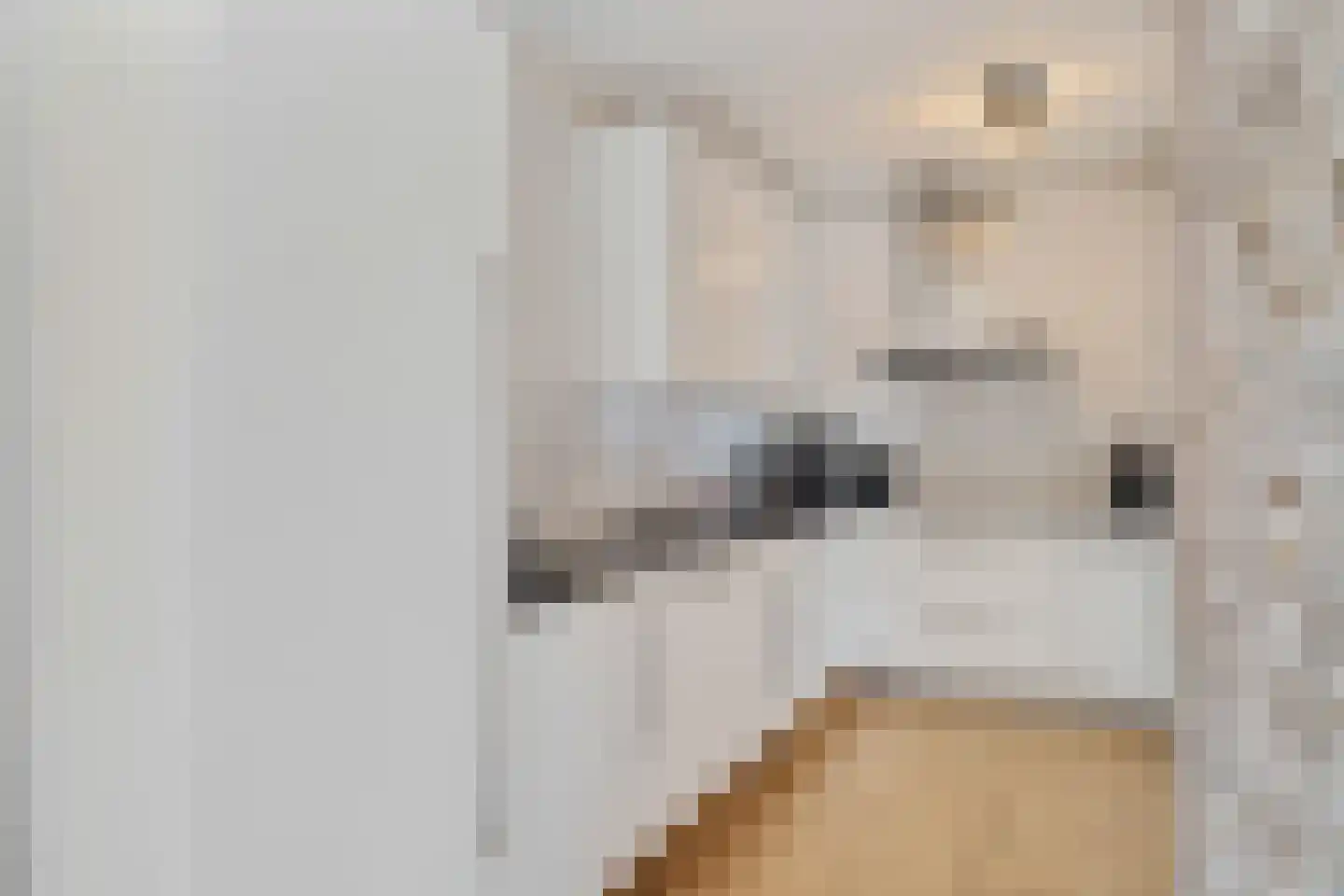 Nieuwpoortstraat 8 Zoetermeer thumbnail 21
