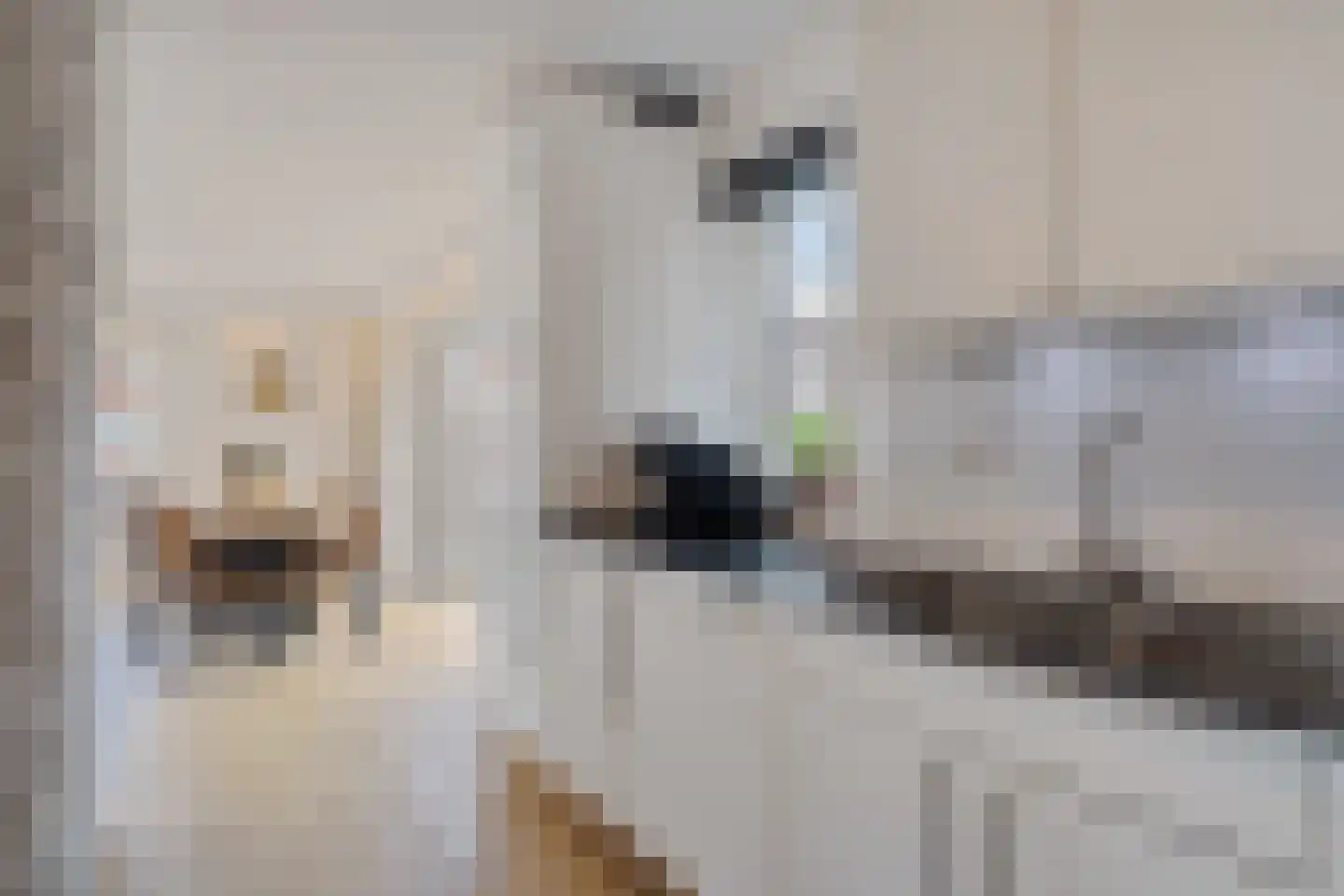 Nieuwpoortstraat 8 Zoetermeer thumbnail 24