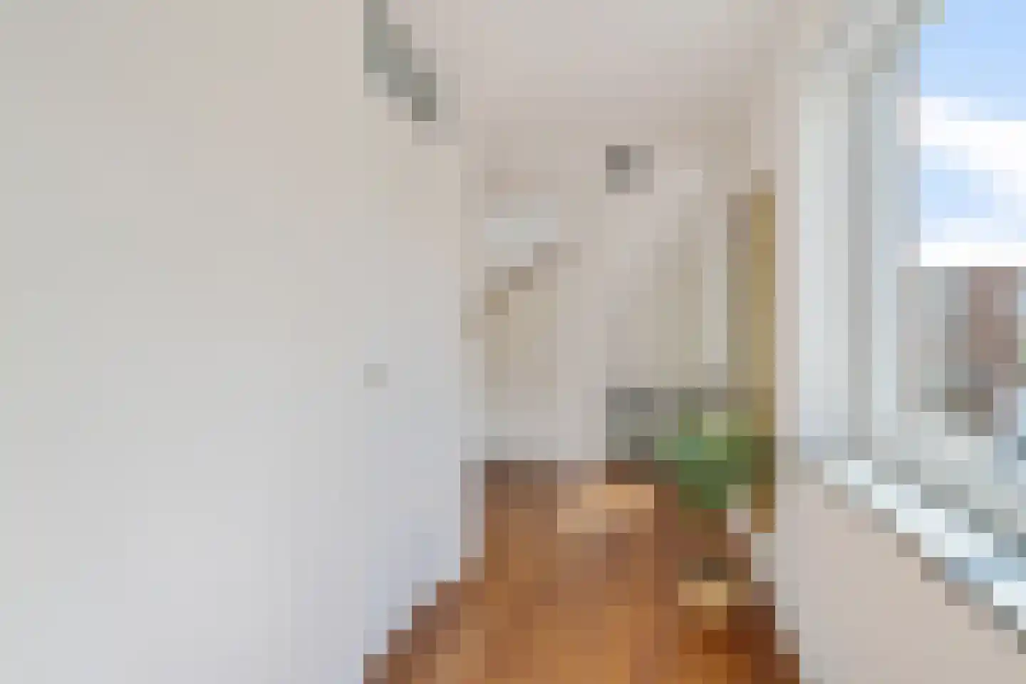 Nieuwpoortstraat 8 Zoetermeer thumbnail 31