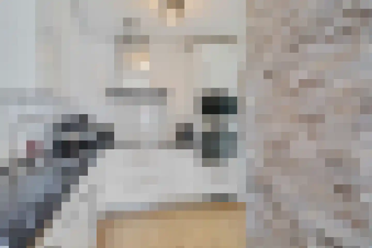 Nieuwpoortstraat 8 Zoetermeer thumbnail 5