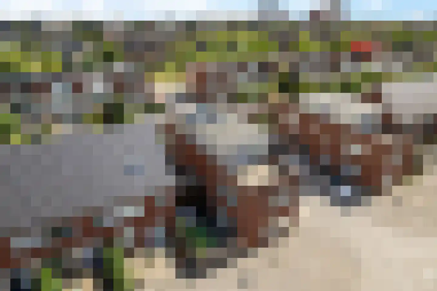 Nieuwpoortstraat 8 Zoetermeer thumbnail 51