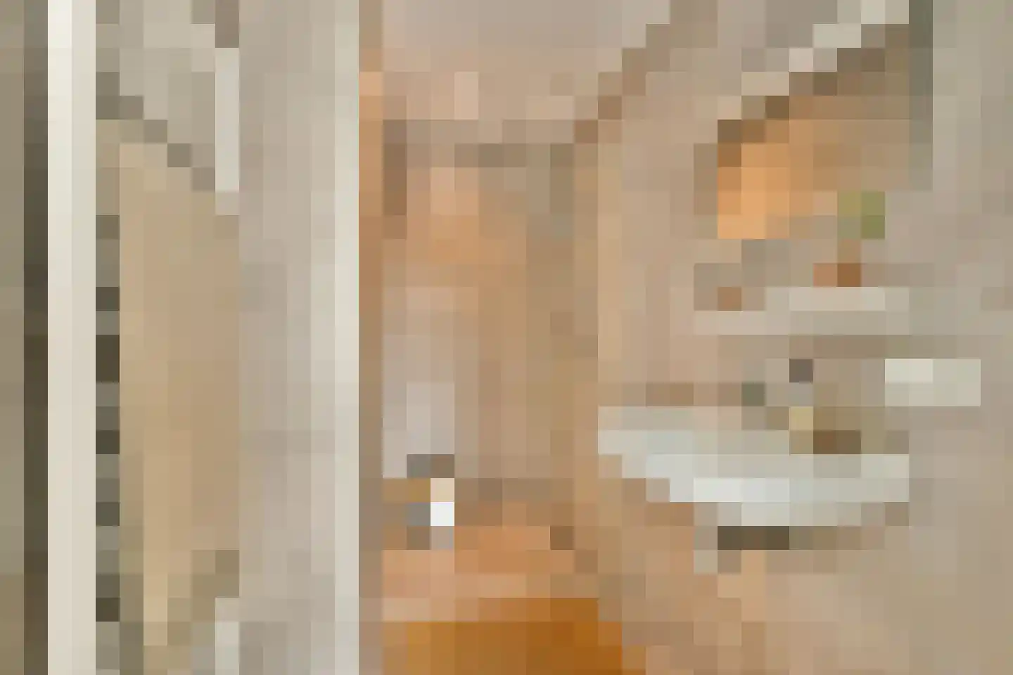 Nieuwpoortstraat 86 A 14 Amsterdam thumbnail 15