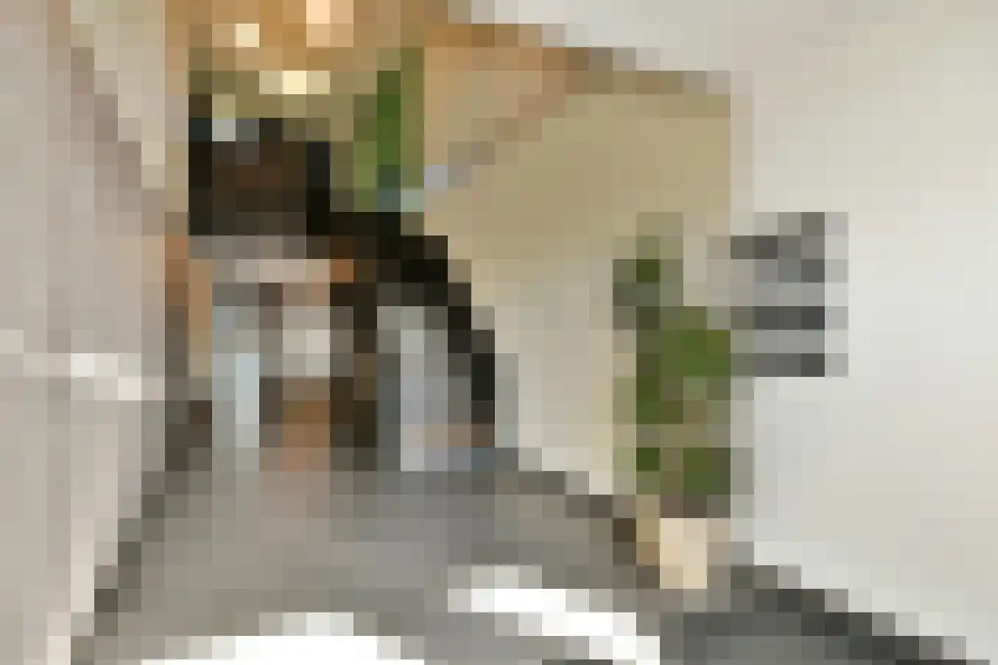 Nieuwpoortstraat 86 A 14 Amsterdam thumbnail 21