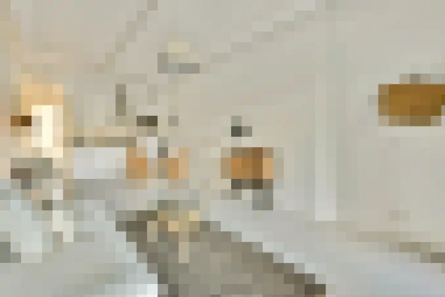 Nieuwpoortstraat 86 A 14 Amsterdam thumbnail 5