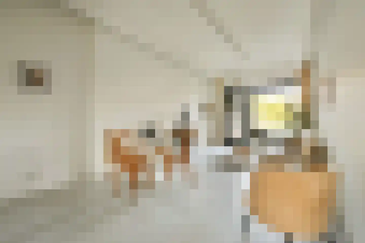 Nieuwpoortstraat 86 A 14 Amsterdam thumbnail 8