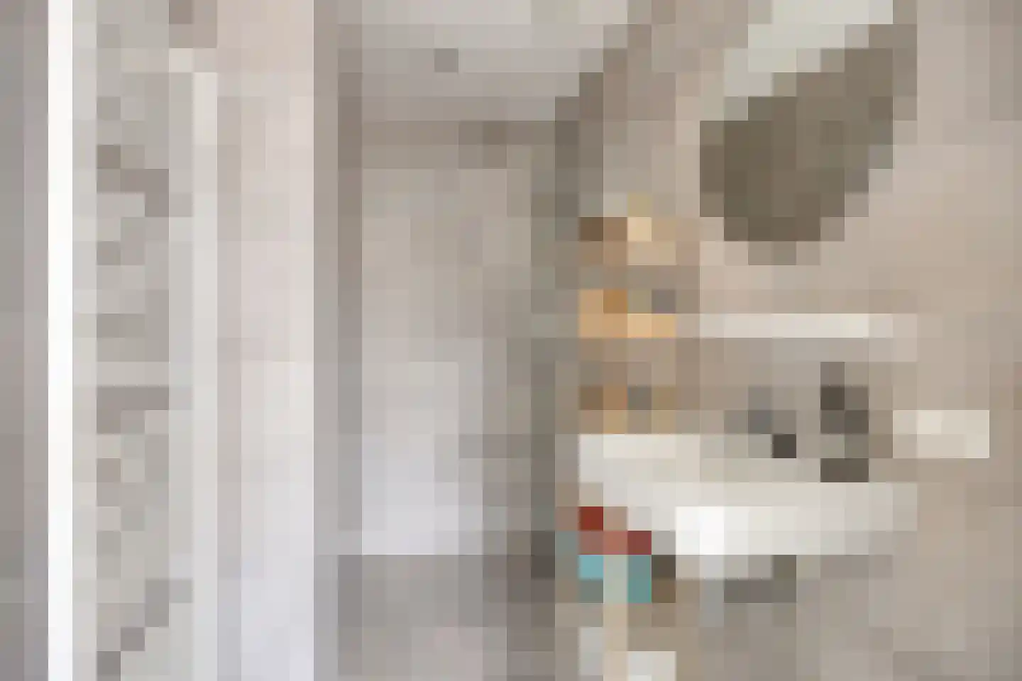 Nieuwpoortstraat 86 A 3 Amsterdam thumbnail 23