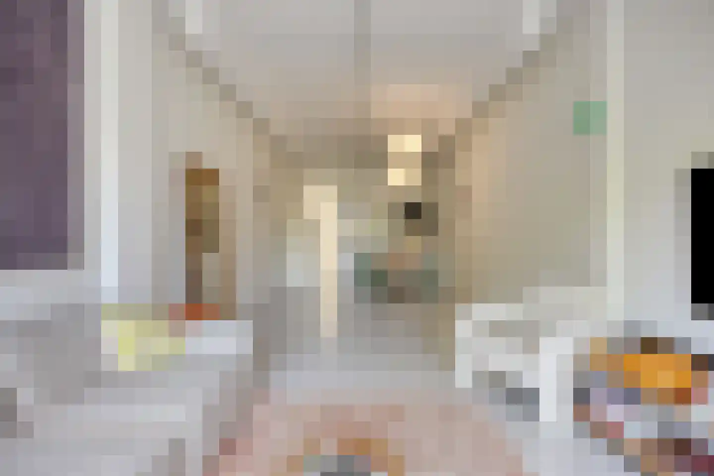 Nieuwpoortstraat 86 A 3 Amsterdam thumbnail 7