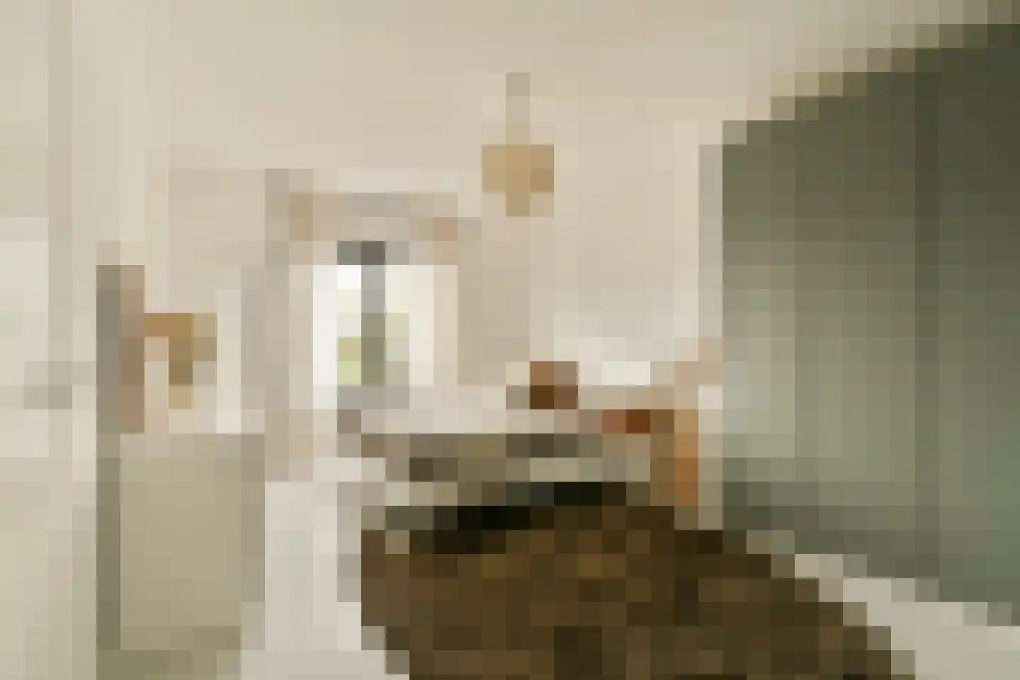 Nieuwpoortstraat 86 B 9 Amsterdam thumbnail 18