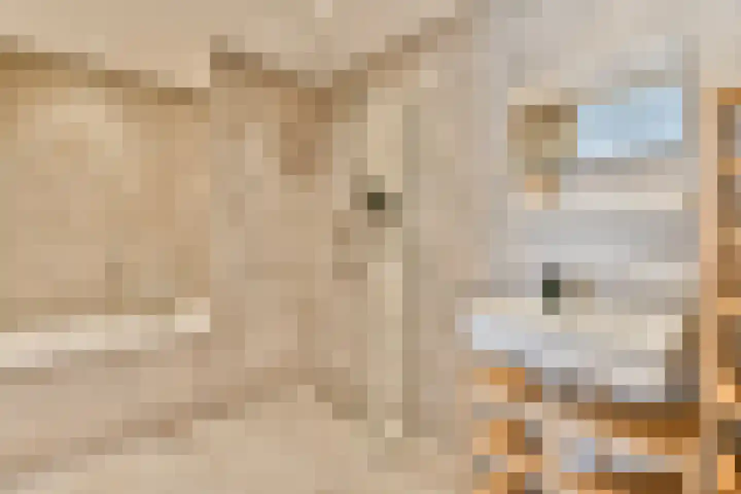 Nieuwpoortstraat 86 B 9 Amsterdam thumbnail 22