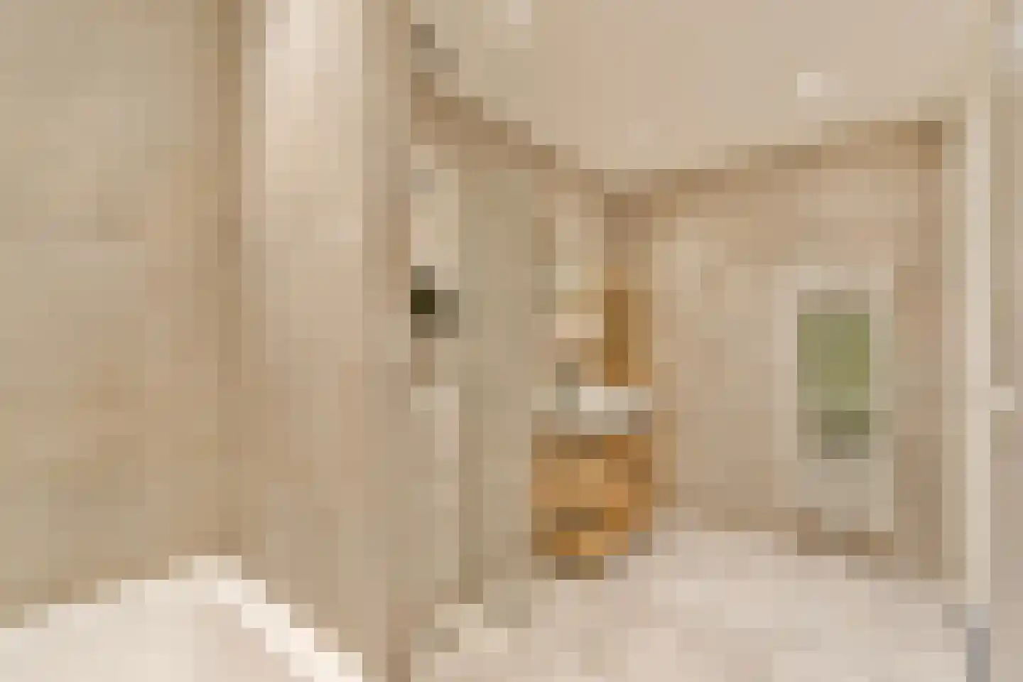 Nieuwpoortstraat 86 B 9 Amsterdam thumbnail 23