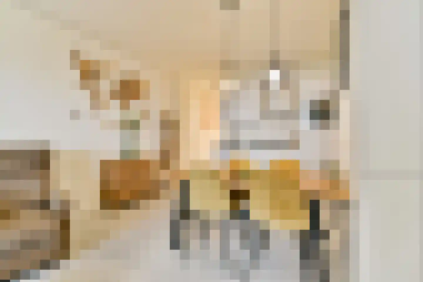 Nieuwpoortstraat 86 C 10 Amsterdam thumbnail 5