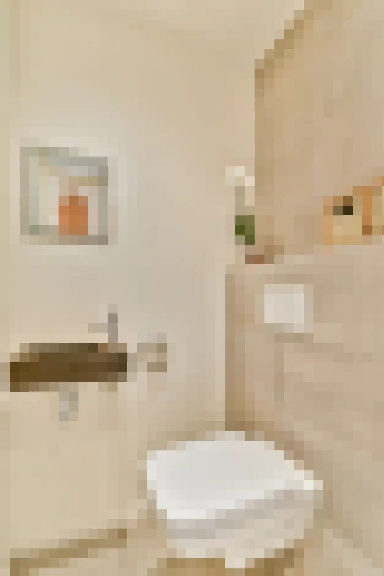 Nieuwpoortstraat 86 C 10 Amsterdam thumbnail 8