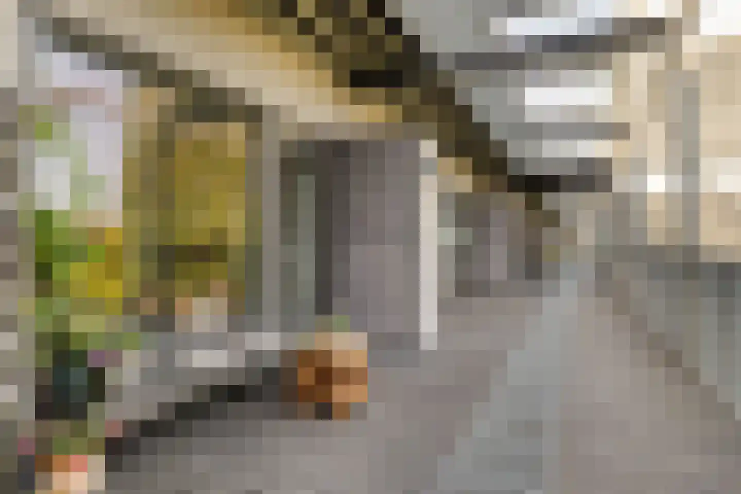 Nieuwpoortstraat 86 C 12 Amsterdam thumbnail 20