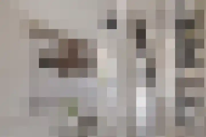Nieuwpoortstraat 86 D 1 Amsterdam thumbnail 15