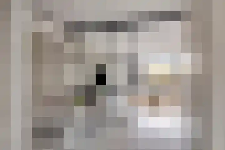 Nieuwpoortstraat 86 D 1 Amsterdam thumbnail 16