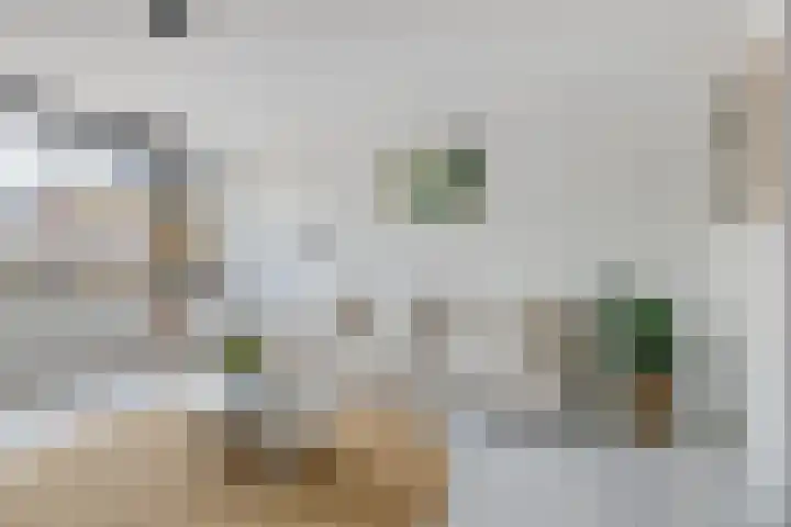 Nieuwpoortstraat 86 D 1 Amsterdam thumbnail 5