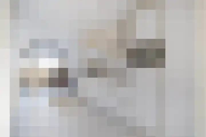 Nieuwpoortstraat 86 D 12 Amsterdam thumbnail 7