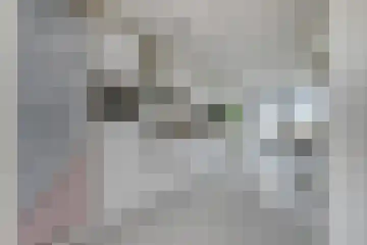 Nieuwpoortstraat 86 D 14 Amsterdam thumbnail 10