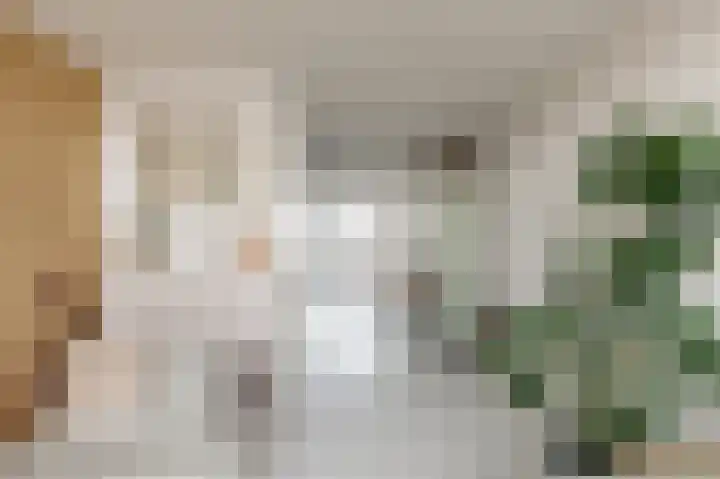 Nieuwpoortstraat 86 D 16 Amsterdam thumbnail 4