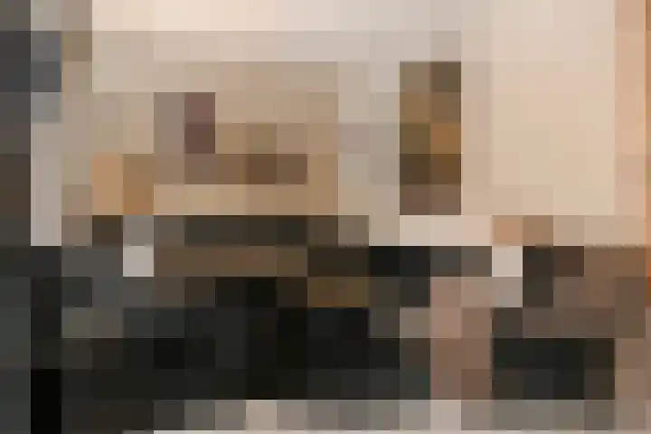 Nieuwpoortstraat 9 Eindhoven thumbnail 10