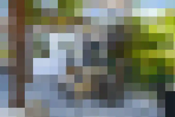 Nieuwpoortstraat 9 Eindhoven thumbnail 15