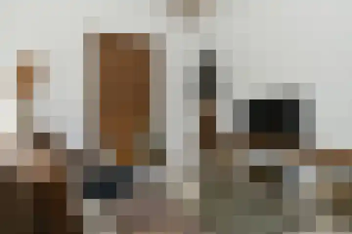 Nieuwpoortstraat 9 Eindhoven thumbnail 20