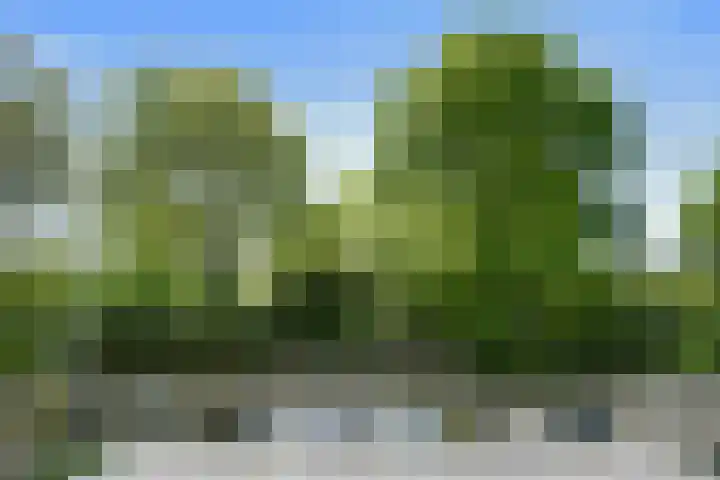 Nieuwpoortstraat 9 Eindhoven thumbnail 22
