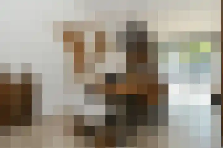 Nieuwpoortstraat 9 Eindhoven thumbnail 24