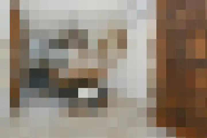 Nieuwpoortstraat 9 Eindhoven thumbnail 25