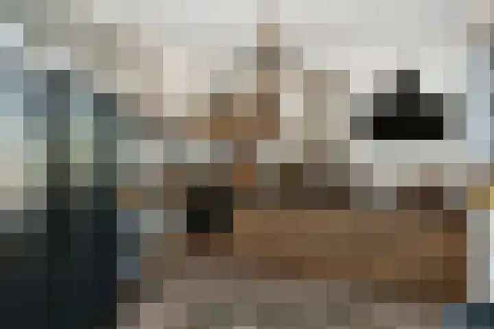 Nieuwpoortstraat 9 Eindhoven thumbnail 27