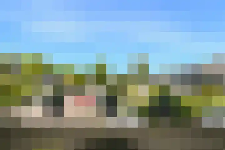 Nieuwpoortstraat 9 Eindhoven thumbnail 28