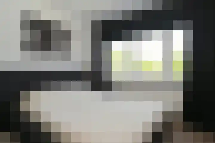 Nieuwpoortstraat 9 Eindhoven thumbnail 33