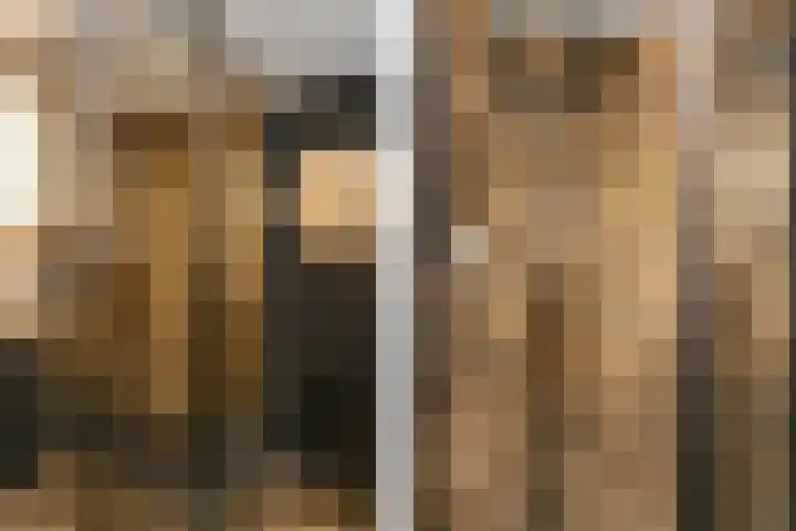 Nieuwpoortstraat 9 Eindhoven thumbnail 35