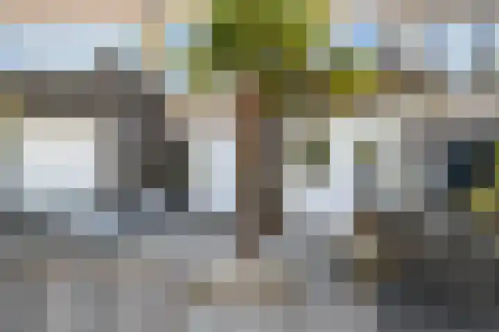 Nieuwpoortstraat 9 Eindhoven thumbnail 4