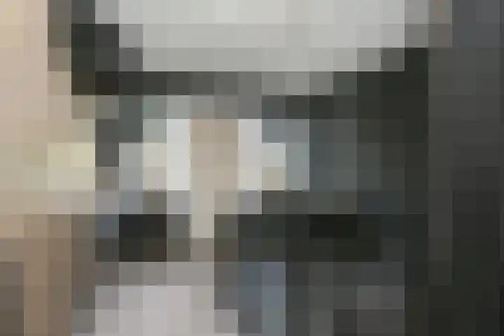 Nieuwpoortstraat 9 Eindhoven thumbnail 5