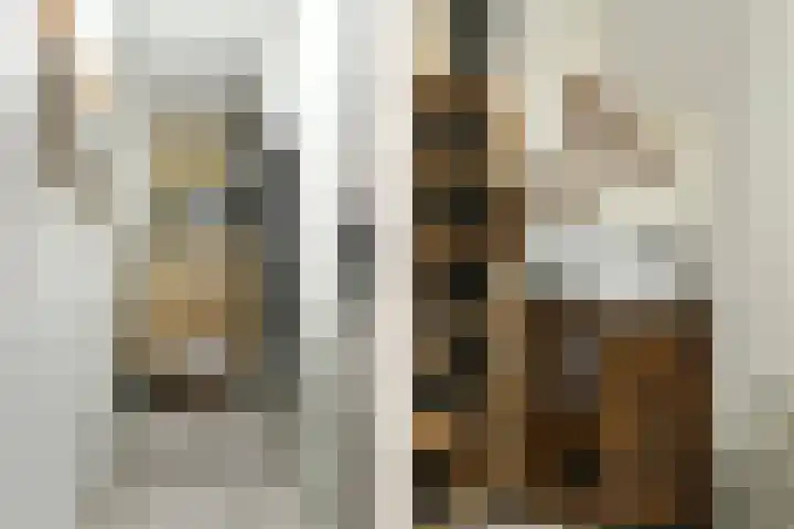 Nieuwpoortstraat 9 Eindhoven thumbnail 7
