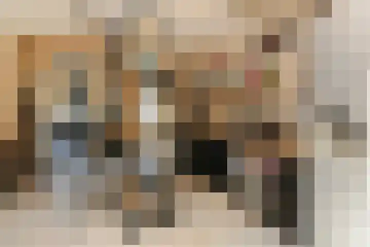 Nieuwpoortstraat 9 Eindhoven thumbnail 9
