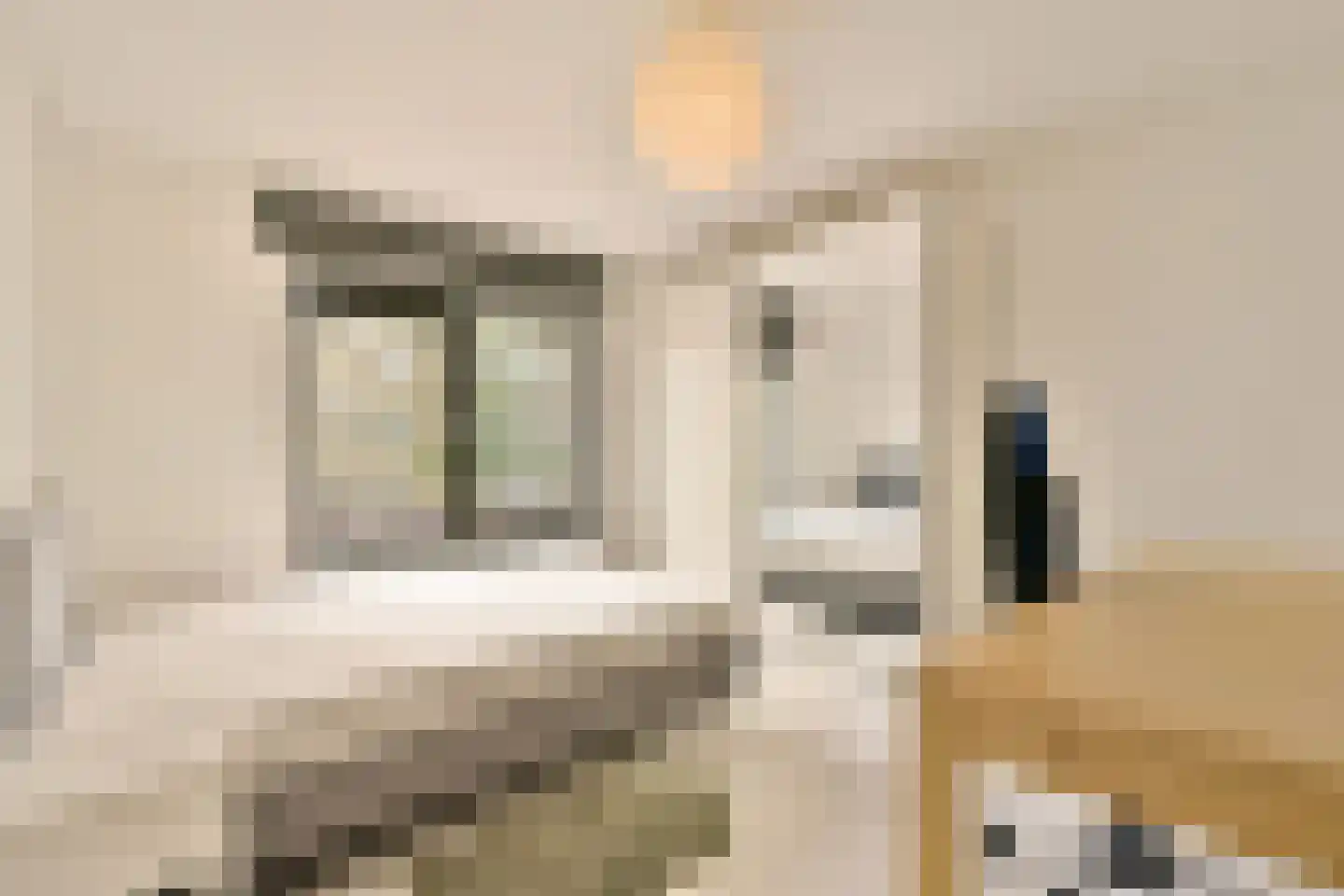 Nieuwpoortstraat 94 A 12 Amsterdam thumbnail 13