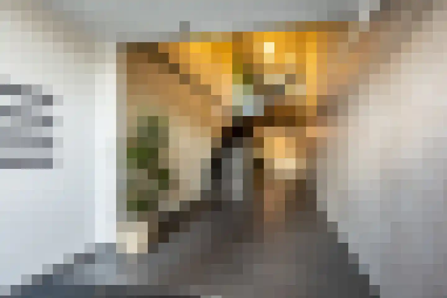 Nieuwpoortstraat 94 A 4 Amsterdam thumbnail 17