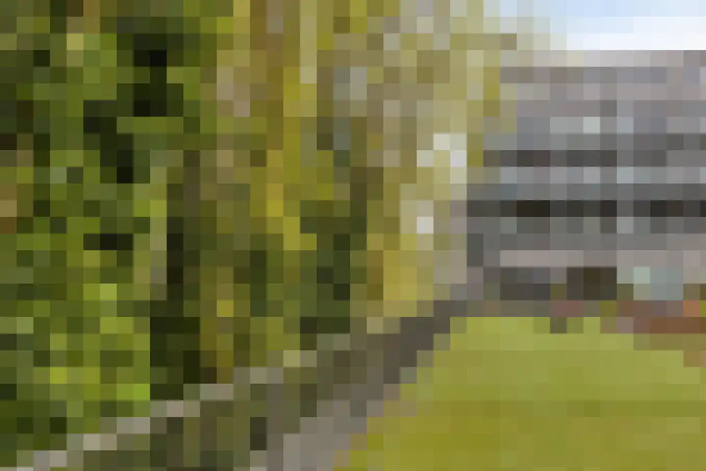 Nieuwpoortstraat 94 A 6 Amsterdam thumbnail 22