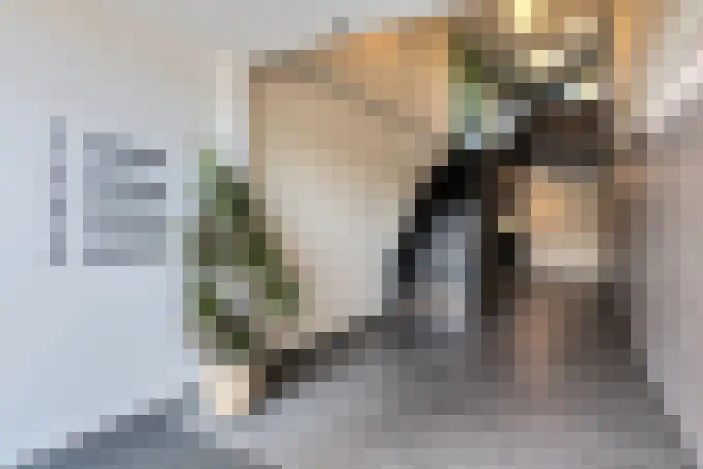 Nieuwpoortstraat 94 A 9 Amsterdam thumbnail 30