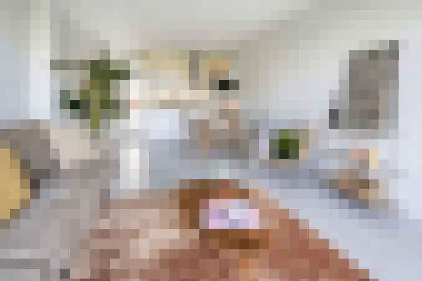Nieuwpoortstraat 94 A 9 Amsterdam thumbnail 6